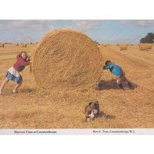 Harvest Farming Time Countesthorpe Leicester Children Hay Straw Rare Postcard