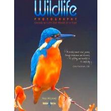 Wildlife Photography: Saving My Life One Frame At A Time