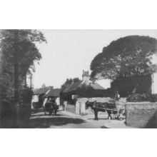 Forest Road Broadwater Street East Old WW1 Cart Transport Sussex Postcard