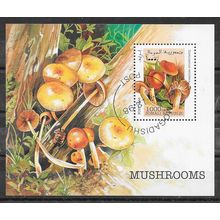 Somalia 1998 VEGETAUX LES CHAMPIGNONS BLOC OBLITERE ( USED )