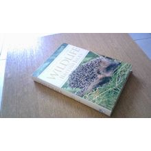 A Field Guide to the Wildlife of the British Isles. Alice Tomsett (Paperback)