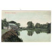 Surrey postcard River at Walton on Thames