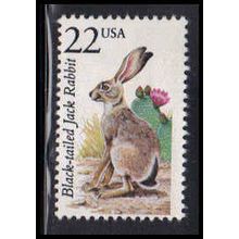 2305 22c Jack Rabbit Fine MNH V3746