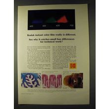 1979 Kodak Instant Color Film Ad - Really Is Different