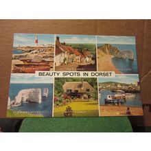 BEAUTY SPOTS IN DORSET county multiview unused postcard by J. Salmon