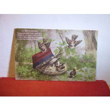 YOUNG birds unused antique French greetings postcard =