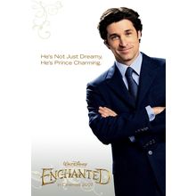 Enchanted (2007)_6 Movie Film Poster Canvas iconic design