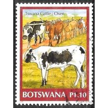 2006 Cattle P1.10 Fine Used C1