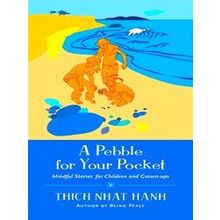 A Pebble For Your Pocket