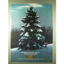 1979 Johnnie Walker Black Label Scotch Ad - Right Tree