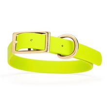 Dog Pet Collar with Brass Hardware Size L W 1” L 18” - 22” Safety Yellow