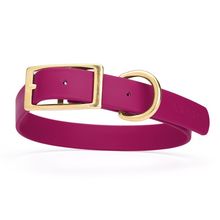 Dog Pet Collar with Brass Hardware Size L W 1” L 18” - 22” Magenta Pink