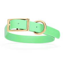 Dog Pet Collar with Brass Hardware Size XL W 1” L 22” - 25" Sea Foam Green