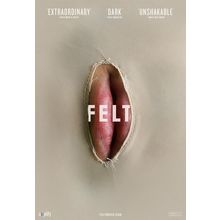 Felt (2015)_2 Movie Film Poster Canvas iconic design