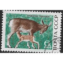 1969 Michel 3668 - cancelled - ANIMAL