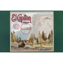 San Dimas Orange Growers Association El Capitan Postcard