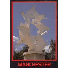 Manchester Doves Of Peace Bridge Street Postcard