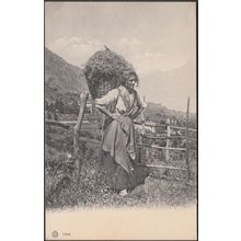 Donna con Canestro, Lombardia, c.1910 - Brunner Cartolina