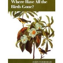 Where Have All the Birds Gone? - Essays on the Biology and Conservation of Birds