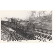 Steam At Coulsden South in 1951 Railway Train RPC Postcard