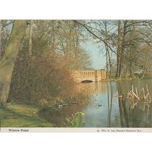Wistow Pond Leicester Postcard