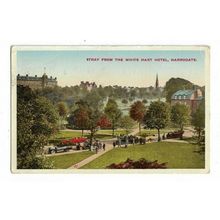 Harrogate, Stray From The White Hart Hotel, Yorkshire, Postcard.
