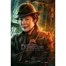 Fantastic Beasts_ The Secrets of Dumbledore (2022)_10 Movie Film Poster Canvas i