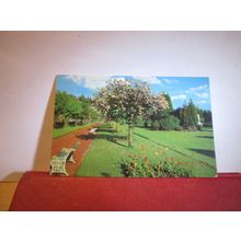 MUSEUM PARK, BRIDGE OF ALLAN, STIRLING, unused postcard =