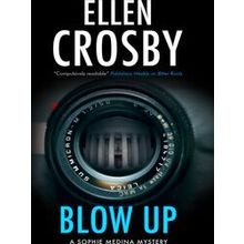 A Sophie Medina Mystery Blow Up