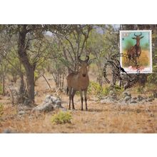 Der Lichtensteins Hartebeest Antelope Rare WWF Stamp First Day Cover Postcard