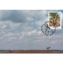 Der Lichtensteins Hartebeest Deer WWF Stamp Limited Edition FDC Postcard