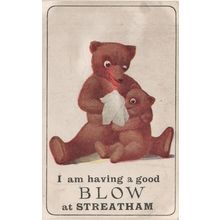 Teddy Bear Cold at Streatham South London Antique Rare Postcard