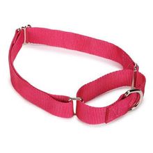 Guardian Gear Nylon Martingale Dog Collars 14-20 in Raspberry