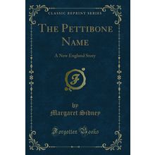 The Pettibone Name: A New England Story (Classic Reprint)