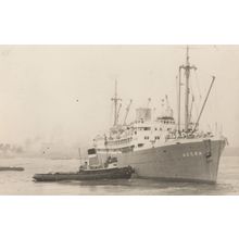 MV Royal Iris Ship Vintage Photo
