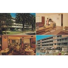 Motel Palm Lake Melbourne Queens Road Hotel Australian Postcard