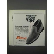 1966 Pedwin Wildcats Shoe Ad - Here Come Wildcats