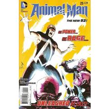 Animal Man (Vol 2) # 025 NM MODERN AGE COMICS