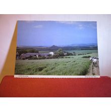 LIVERTON MINE, Yorkshire by Yarm W.I. unused postcard #