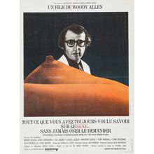 Everything You Always Wanted to Know About Sex (But Were Afraid to Ask) (1972)_4