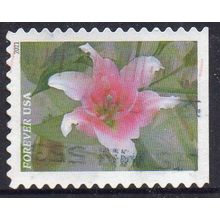 USA 2021 Garden Flowers - Asiatic Lily Forever Used