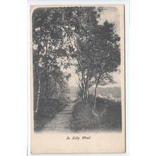 In Kelly Wood nr Skelmorlie ? Postcard 1903 Ayrshire