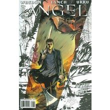 Angel: After the Fall # 001 NM 3rdPrint MODERN AGE COMICS