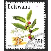 1998 Christmas - Plants 35t Fine Used C1