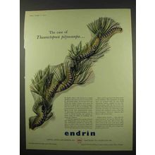 1956 Shell Endrin Ad - Case of Thaumetopoea Pityocampa