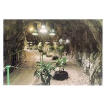TUNNEL TO VISITOR'S GALLERY, CRUACHAN DAM, DALMALLY, SCOTLAND .unused postcard #