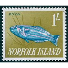 Norfolk Island 1962 1s Surge Wrasse SG45 CTO
