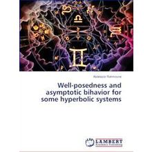 Well-Posedness and asymptotic bihavior for some hyperbolic systems