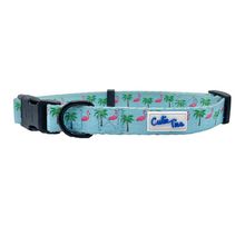 Cutie Ties Fun Design Dog Collar Small Flamingo Miami Vice