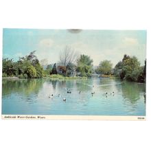 AMBLESIDE WATER GARDENS, WEARE, SOMERSET used postcard. 1972 postmark =